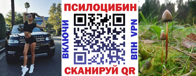 Псилоцибиновые грибы MAGIC MUSHROOMS  Камбарка 